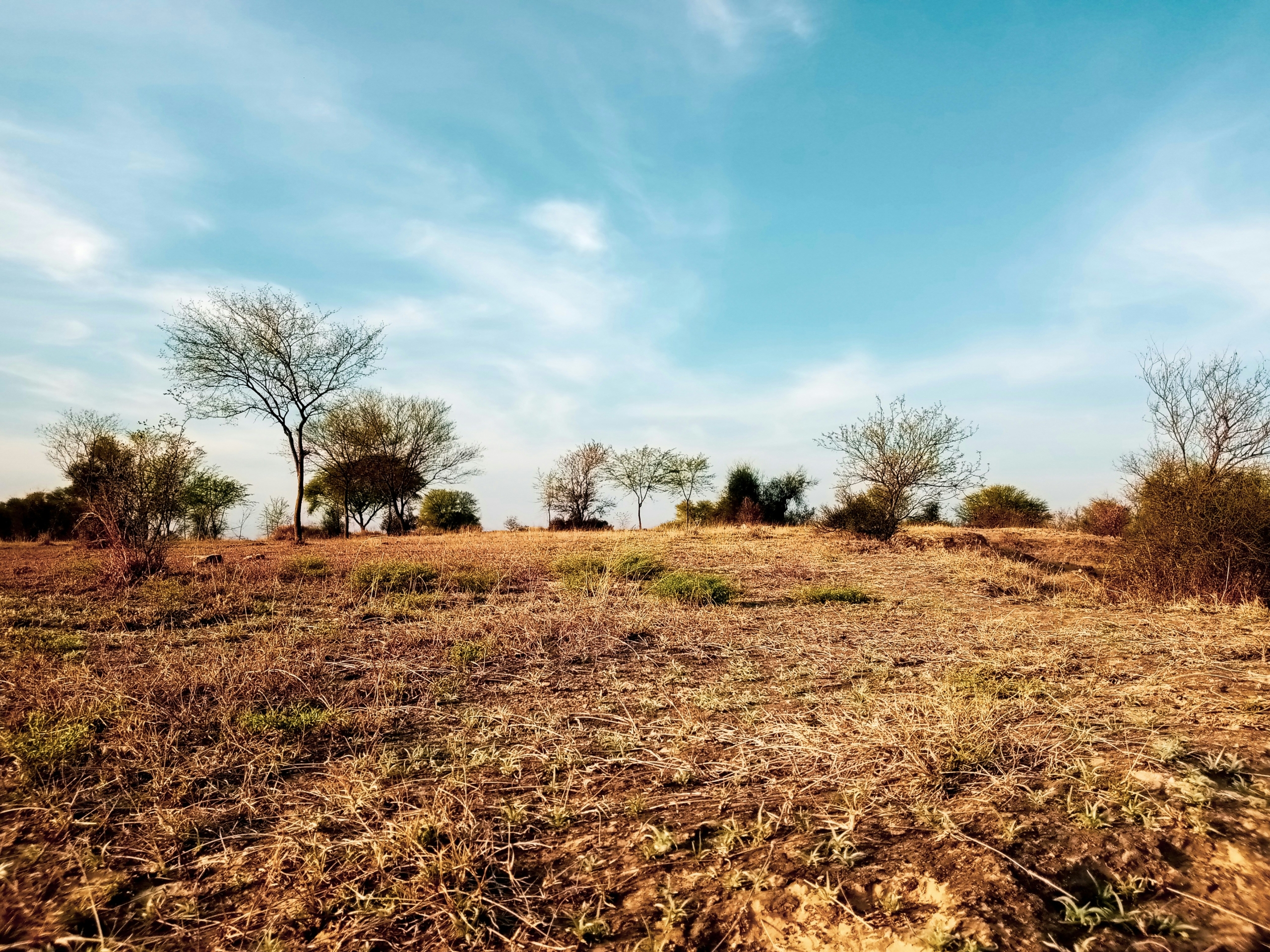 ahmed-bilal-eZmPD2zIWeY-unsplash