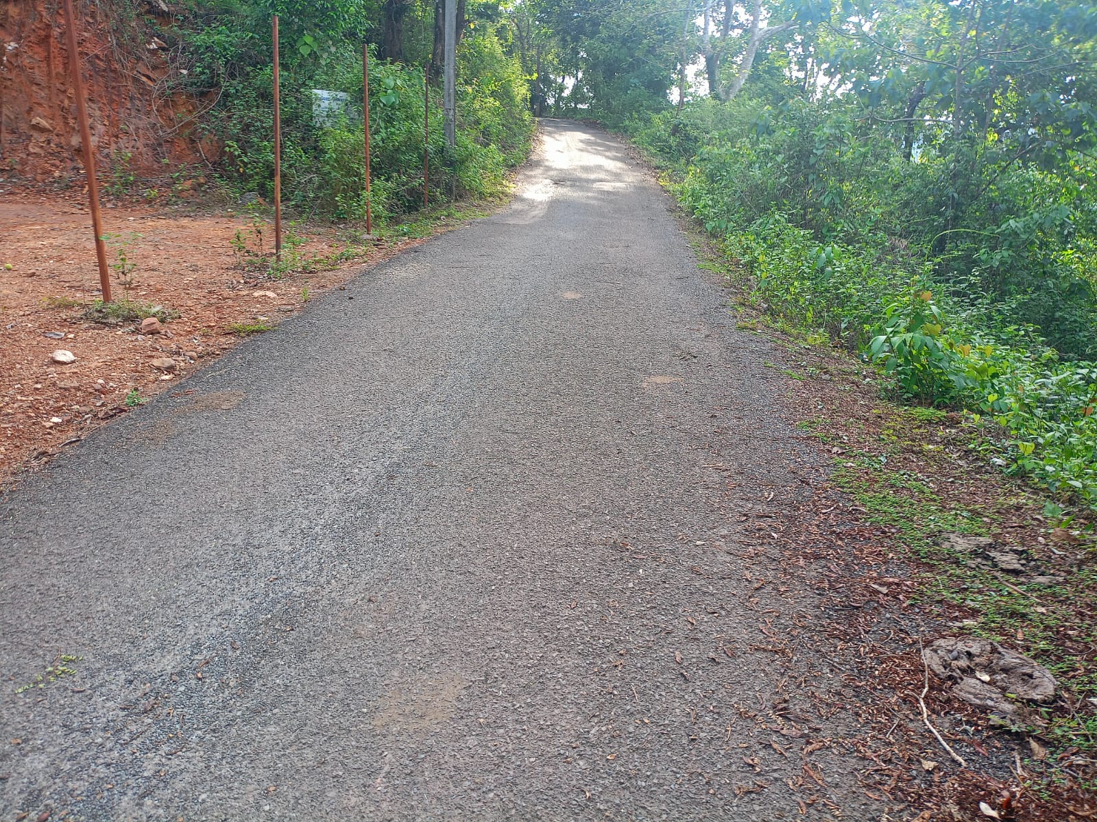 IMG-20260618-WA0004