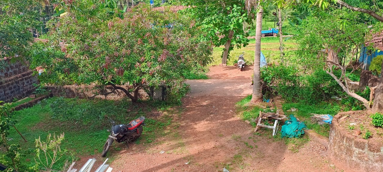 644 Sq Mt Plot with Existing 2BHK House for Sale in Cortalim Village, Goa