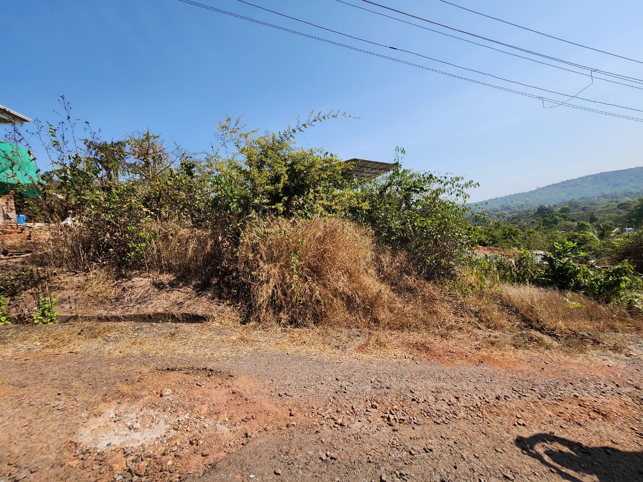 267 Sq Mt Orchard Land for Sale in Pernem, North Goa