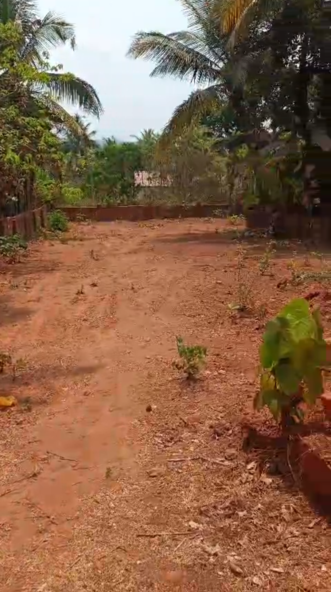 500 Sq Mt Sanad Plot for Sale in Chorao, North Goa – Title Cleared & Villa Approved