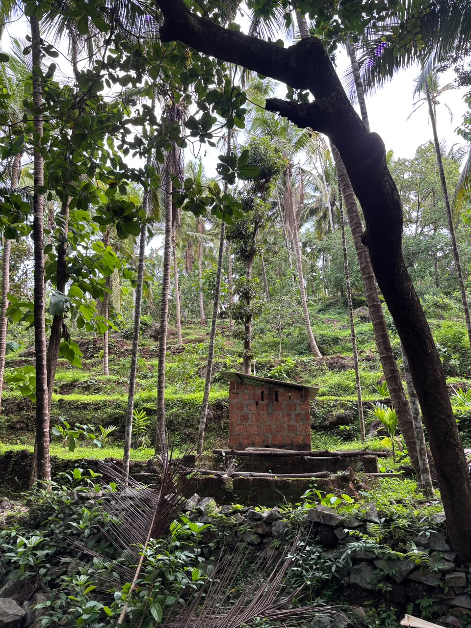 1000 Sq Mt Settlement Land with Natural Spring & Plantation for Sale