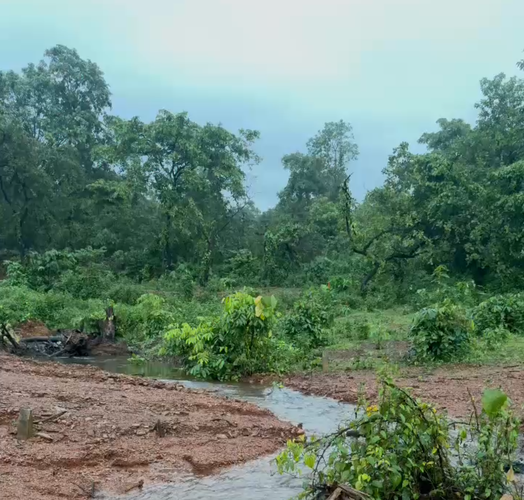 300 Sq. M. Orchard Plot for Sale in Saleli, Sattari, North Goa – Mountain Valley View with Clear Title & Road Access